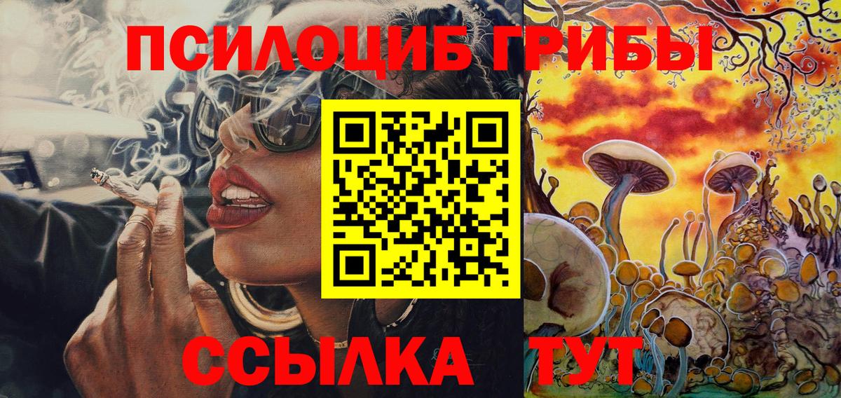 Боровичи  Галлюциногенные грибы Psilocybine cubensis  Псилоцибиновые грибы Psilocybe  Вход с VPN 